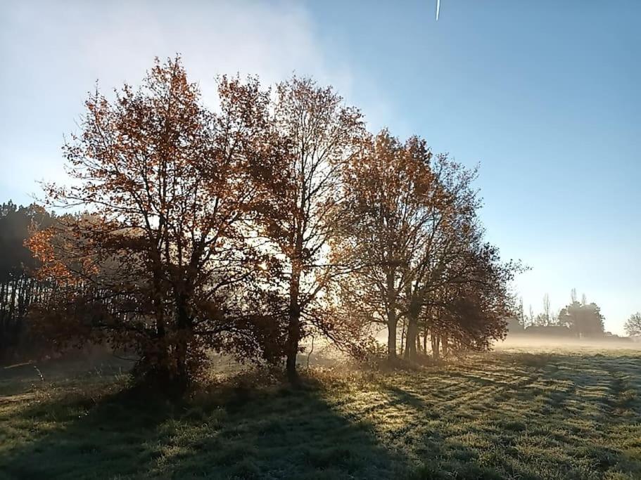 Gite Aux Bois D'En Temps Lunas  Exterior photo