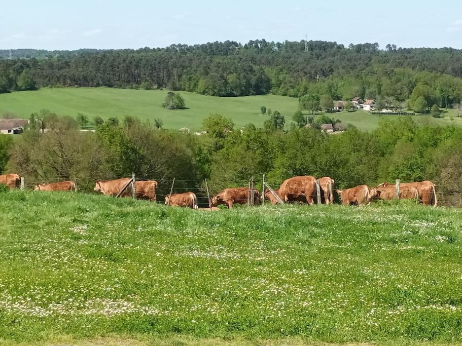 Gite Aux Bois D'En Temps Lunas  Exterior photo